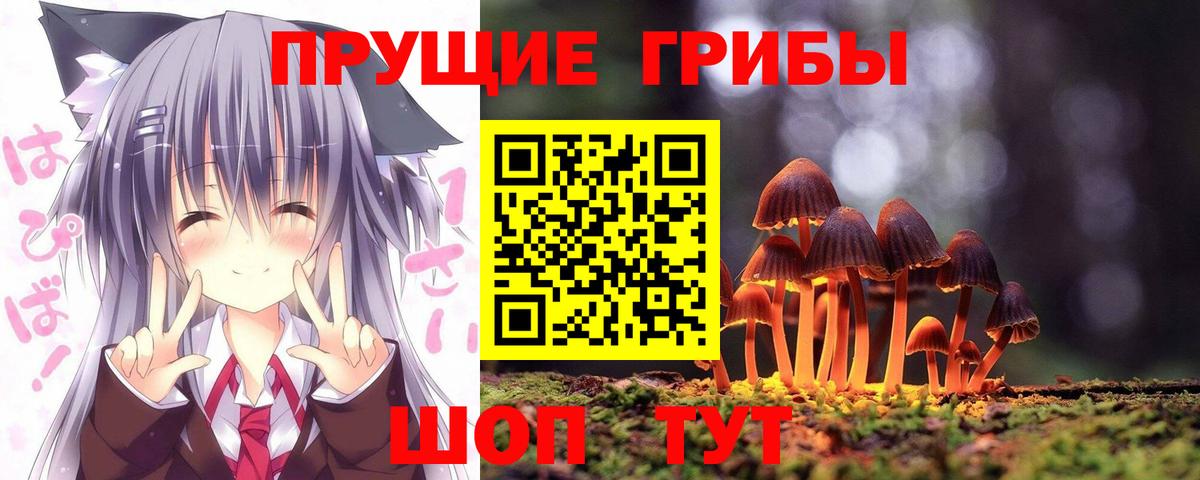 Псилоцибиновые грибы Magic Shrooms  Вход с VPN  Псилоцибиновые грибы мицелий  Кирово-Чепецк 